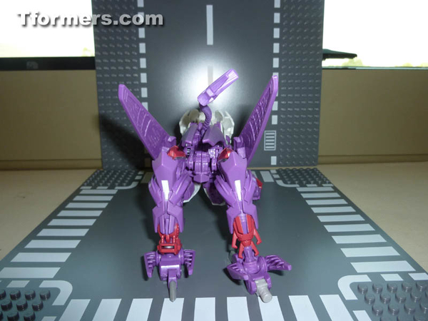 Botcon 2014 Knight 3 Pack Attendee Set  (21 of 82)